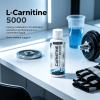 Liquid L-Carnitine 3000, Blue Raspberry Flavor Liquid Wellness Supplement, Daily Workout Support Liquid Drop for Active Adults