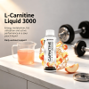 Liquid L-Carnitine 3000, Blue Raspberry Flavor Liquid Wellness Supplement, Daily Workout Support Liquid Drop for Active Adults