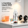 Liquid L-Carnitine 3000, Blue Raspberry Flavor Liquid Wellness Supplement, Daily Workout Support Liquid Drop for Active Adults